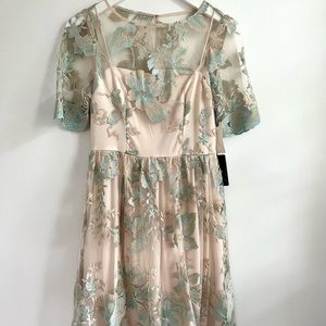 Adrianna Papell Anthropologie Dress Embroidery